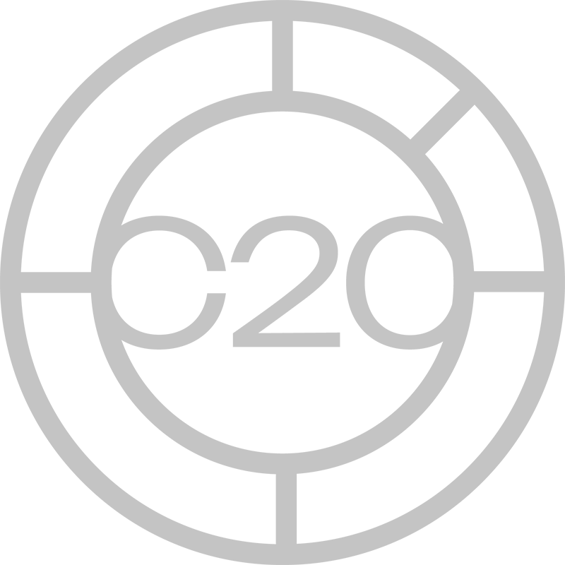 C20 logo